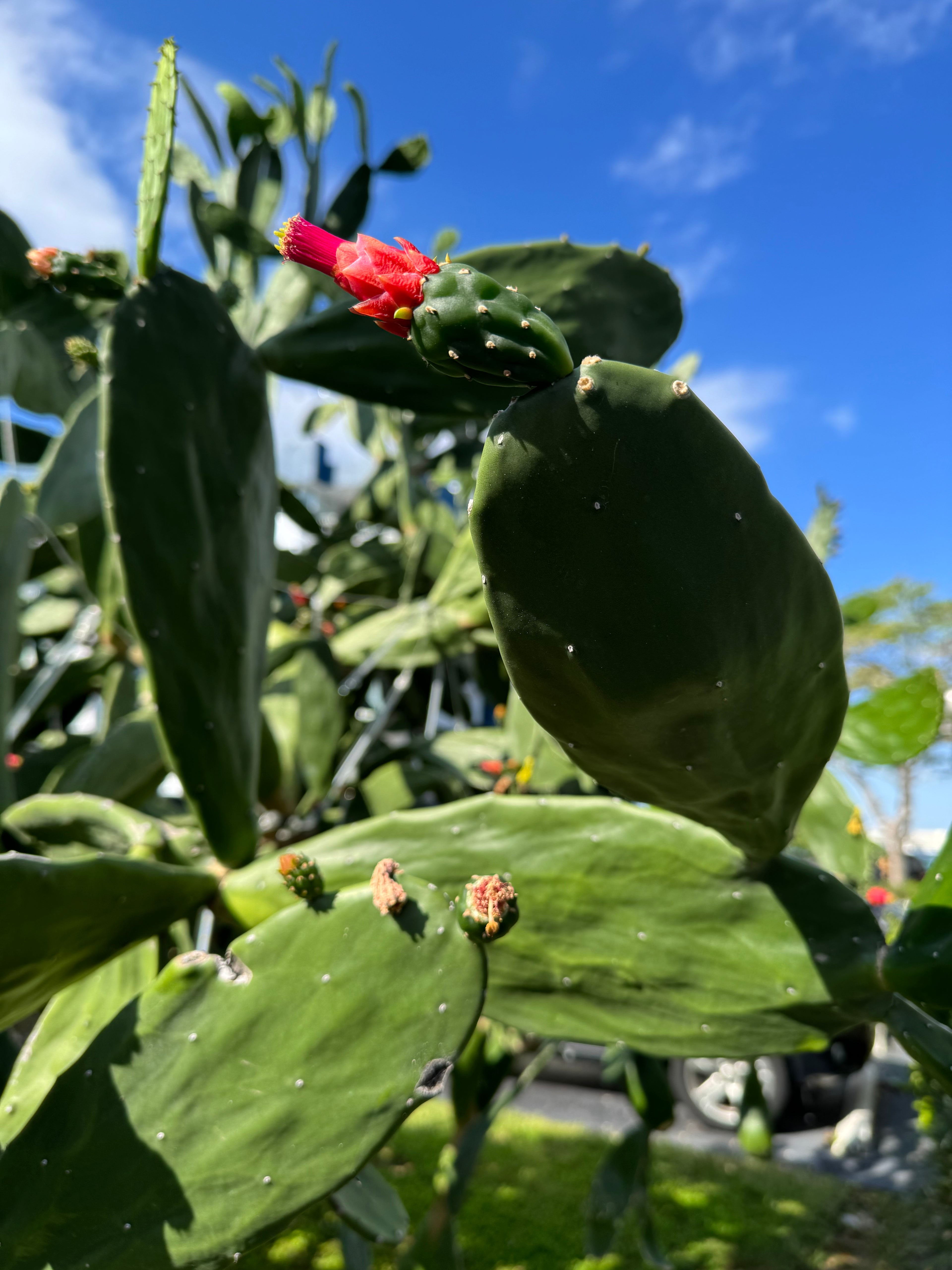 Gentle Care for Delicate Skin Facial